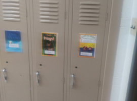 Assumption of the Blessed Virgin Mary School, O'Fallon, MO Electrostatic Painting of Lockers