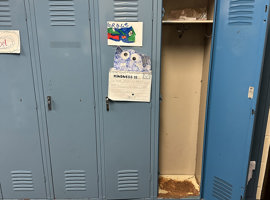 Campanelli Elementary School, Schaumburg, IL - Electrostatic Painting of Lockers