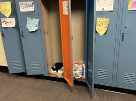 Campanelli Elementary School, Schaumburg, IL - Electrostatic Painting of Lockers