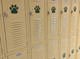 Crums Lane Elementary School, Louisville, KY Electrostatic Painting of Lockers