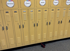 Lakeview Elementary, Schaumburg, IL - Electrostatic Painting of Lockers