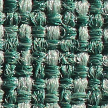 Shire Pine